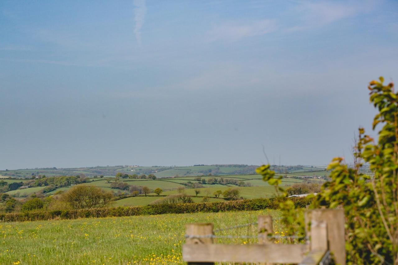 Maes Y Mel- A Couples, Pet Friendly, Rural Romantic Getaway With Countryside Views Gellywen Exteriér fotografie