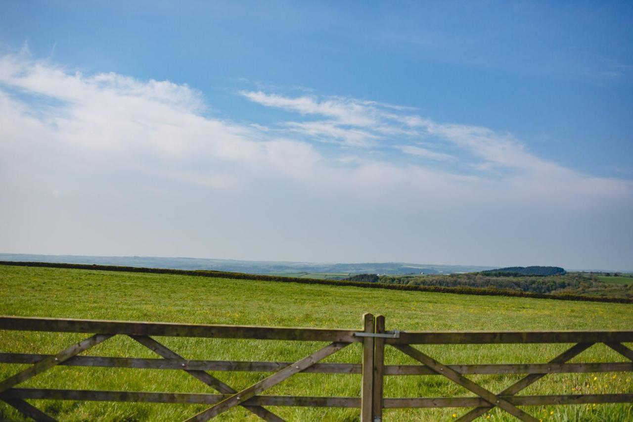 Maes Y Mel- A Couples, Pet Friendly, Rural Romantic Getaway With Countryside Views Gellywen Exteriér fotografie