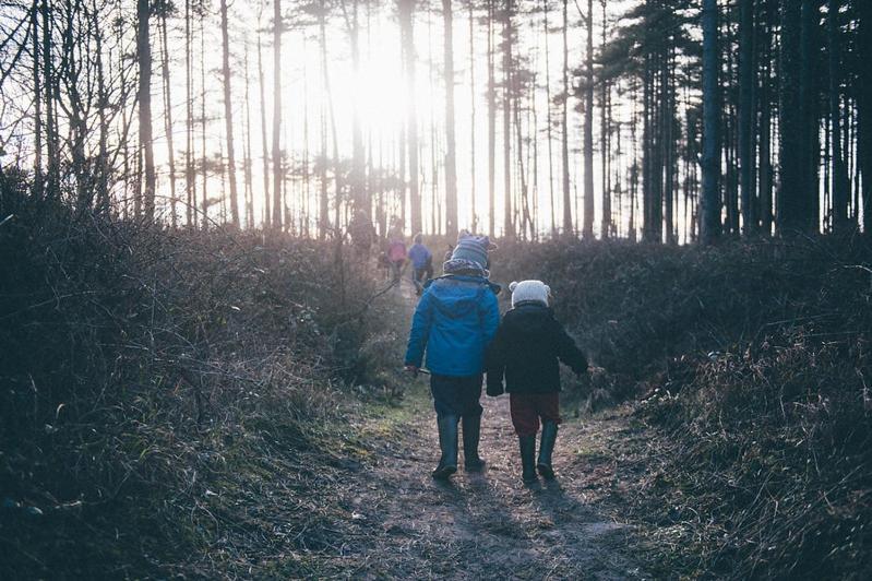 Maes Y Mel- A Couples, Pet Friendly, Rural Romantic Getaway With Countryside Views Gellywen Exteriér fotografie